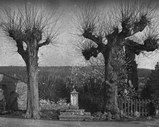 monument, guerre, civilisations, silence, Saint Maurice de Satonnay, arbres, calvaire