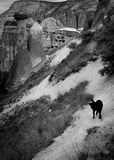 paysage - mediterranée - frontière - village troglodyte - chien noir - turquie